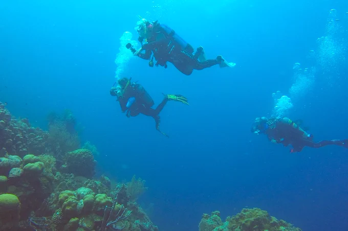 The course culminated in an 11-day trip to the Dutch Island of Bonaire in the Caribbean. PhD student, Dan Bowling, assisted in the scientific and dive training components of the project in Bonaire.  A total of 11 undergraduates and 1 graduate student conducted 15-18 dives during the 11-day trip. Dives ranged from reef surveys of fish, coral and algae, to night dives, deep and wreck dives. Students also learned about the geology and culture of this Dutch Island. The students did a fantastic job and had an amazing experience!