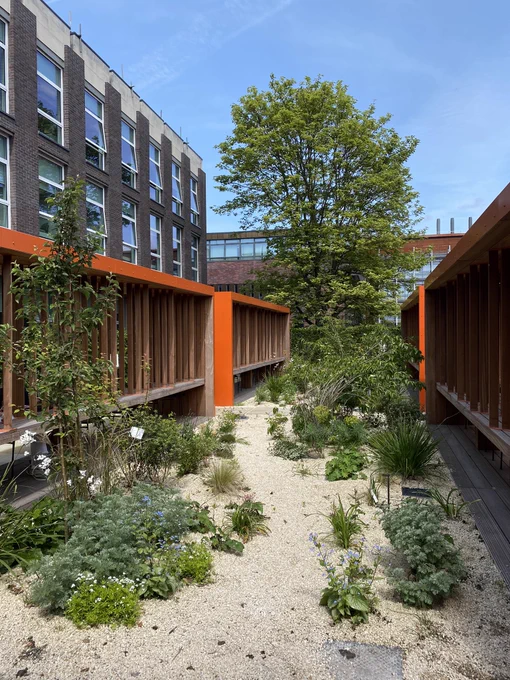 View of library garden shows greenery & blue skies contrasted with orange seating frames