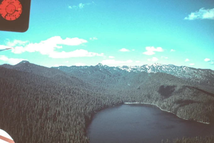 Aerial view of Spirit Lake, north of Mount St. Helens, on May 17, 1980.