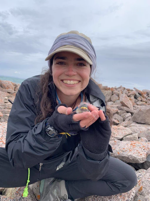 Ally holding a Snow Bunting fledgling