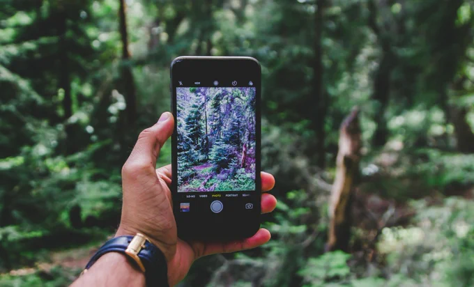 A hand holding a smartphone in the woods. Photo by Sid Verma, Unsplash.