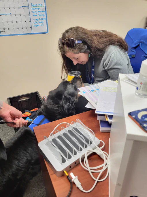 Women snuggling nose to nose with a therapy dog at her desk 