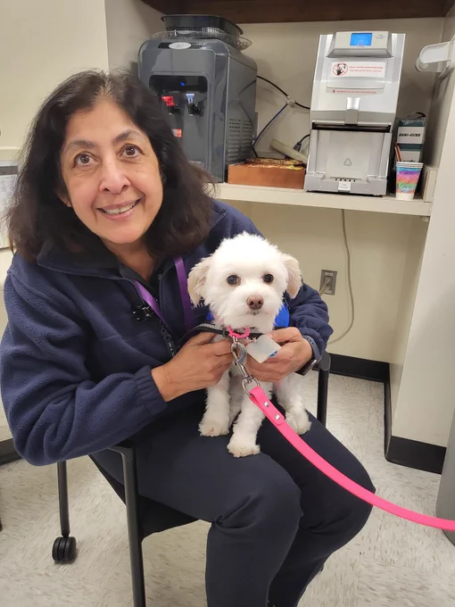 Woman sitting with a small white therapy dog from Heeling House on her lap at Washington Dulles Airport