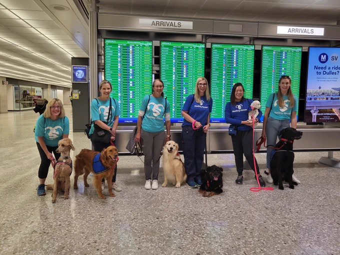 Group photo of Heeling House therapy dogs and their handlers