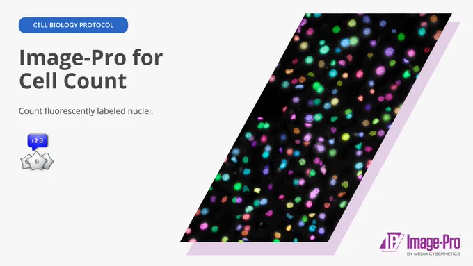 Image-Pro for Cell Count  |  Cell Biology Protocol  |  Count fluorescently labeled nuclei