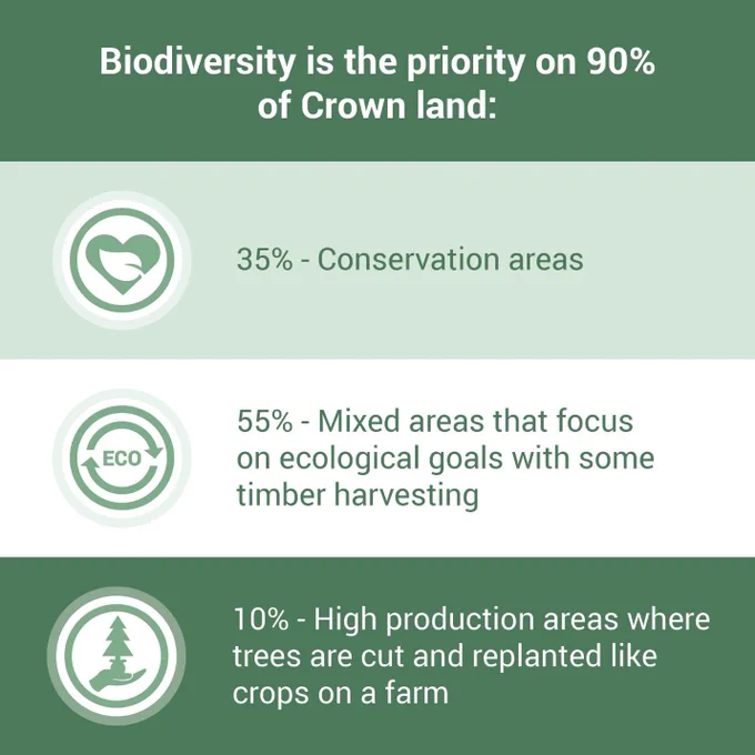 Biodiversity is the priority on 90% of Crown land. 35% is within conservation areas, 55% within mixed areas that focus on ecological goals with some timber harvesting, and 10% within high production areas where trees are cut and replanted like crops on a farm