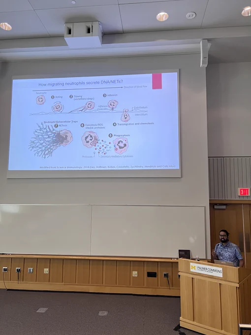 Subhash Arya sharing a powerpoint presentation