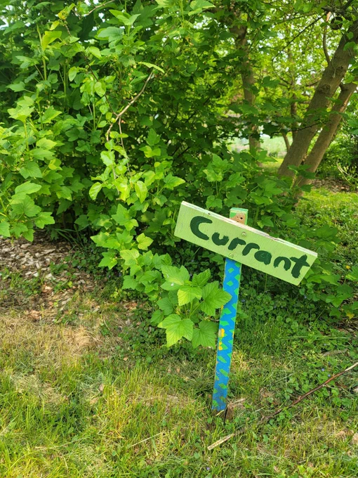 A garden