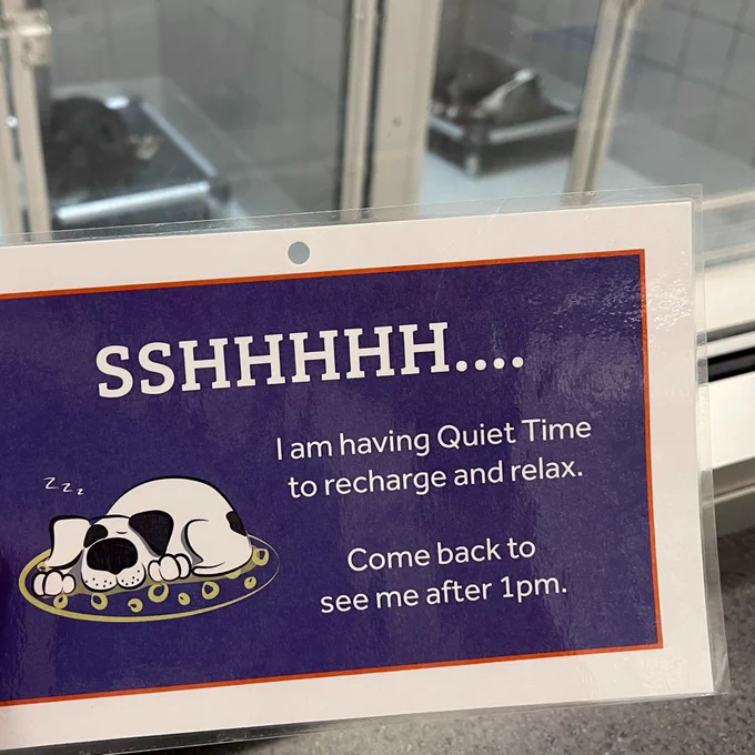A purple laminated sign that says, "SSHHHHHH... I am having Quiet Time to recharge and relax. Come back to see me after 1pm." There is a cartoon black and white dog sleeping next to the text. Behind the sign are two dogs sleeping in their kennels.