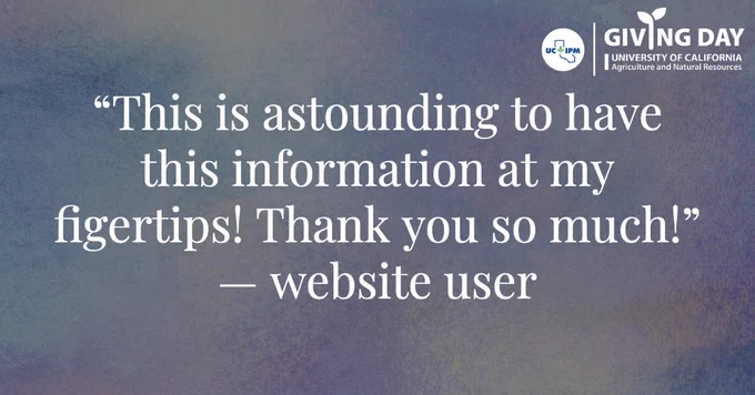 A website user's feedback. Text says: This is astounding to have this information at my figertips! Thank you so much! Giving Day logo in the corner has UC IPM logo and Giving Day University of California Agriculture and Natural Resources.