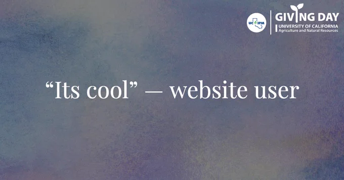 A website user's feedback. Text says: Its cool Giving Day logo in the corner has UC IPM logo and Giving Day University of California Agriculture and Natural Resources.