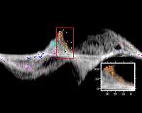 Chinese astronomers transform understanding of Milky Way's spiral structure