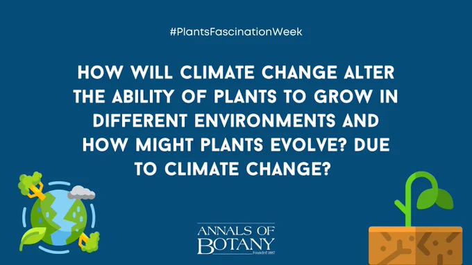 Question taken from New Phytologist article 'One hundred important questions facing plant science: an international perspective' by Emily Armstrong and co-authors. https://doi.org/10.1111/nph.18771