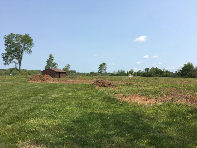 Orchard area cleared of modern trees
