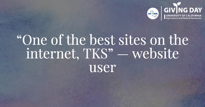 A website user's feedback. Text says: One of the best sites on the internet, TKS. Giving Day logo in the corner has UC IPM logo and Giving Day University of California Agriculture and Natural Resources.