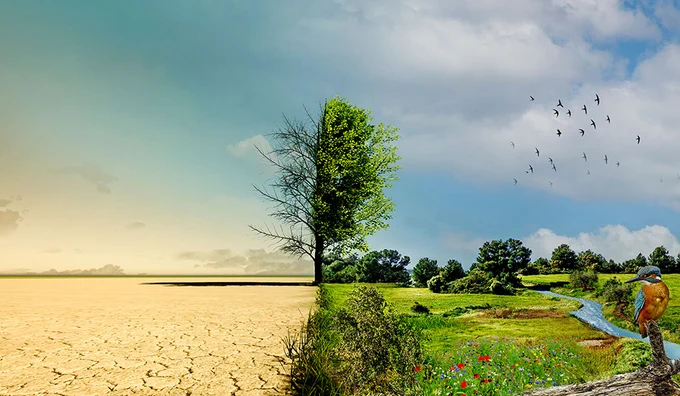 Per affrontare il dramma climatico e arrestare la continua perdita di biodiversità non basta più conservare la natura esistente: è necessario ripristinarla per rimediare ai danni fatti. 

C’è un’occasione irripetibile per fermare la perdita di biodiversità e affrontare la crisi climatica: è la Nature Restoration Law.

La Lipu sta lavorando perché il sogno si realizzi.

Se hai a cuore il futuro della natura e del pianeta puoi aiutarci.
Compila questo modulo e riceverai aggiornamenti sulle prossime azioni.

Possiamo farcela insieme, salvando la natura ci salviamo tutti perchè noi siamo natura. Lo sappiamo, la natura è in crisi, ma l’Europa sta per fare qualcosa di incredibile, mai pensato prima d’ora, una legge per salvare la natura: la Restoration Law.