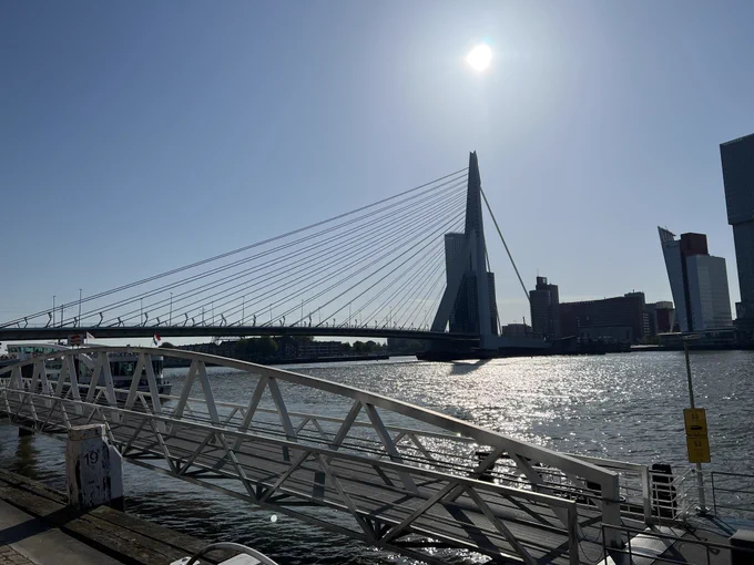 Erasmus brug in Rotterdam