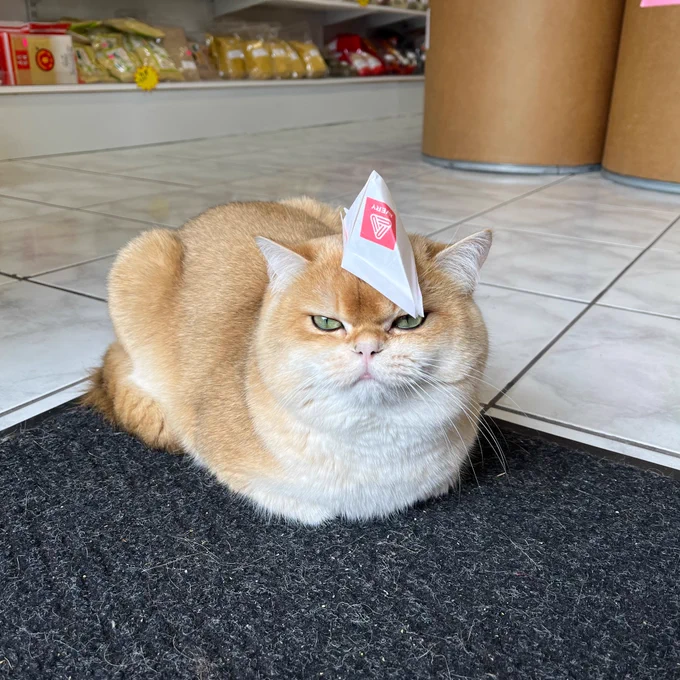 A cat in a hat that sat on a mat.