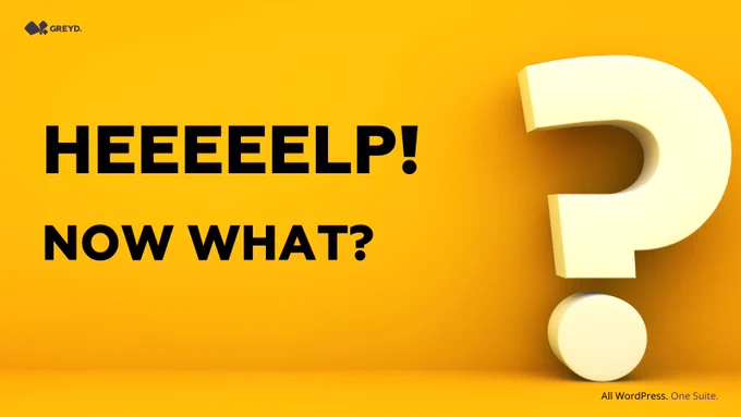 Big 3D question mark and text saying: Help! Now what?