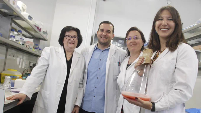 De izquierda a derecha: Gloria Peiró, Yoel Genaro Montoyo, Rosa María Martínez y Micaela Giani. 
