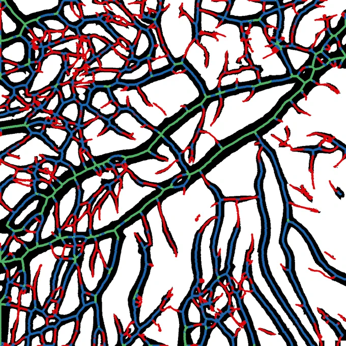 RhizoVision Explorer analyzed output of presumably computer-generated image of white roots on dark background found in quoted tweet. Appears like green, blue, and red lines overtop of black noodle-like structures with a some network topology.