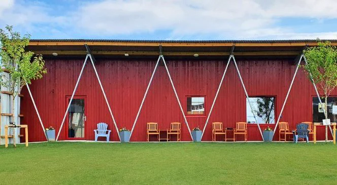 St James' Community Farm west Belfast