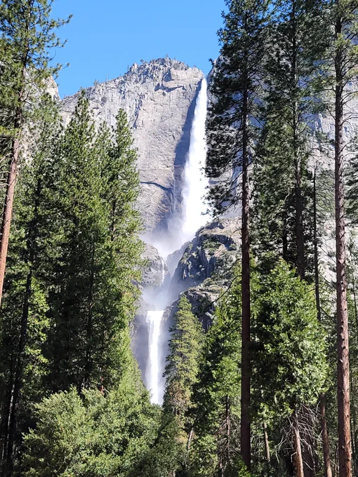 The famous Upper and Lower Yosemite Falls.