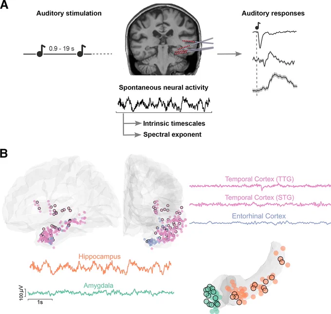 Figure 1 from Cusinato, Alnes et al. 2023