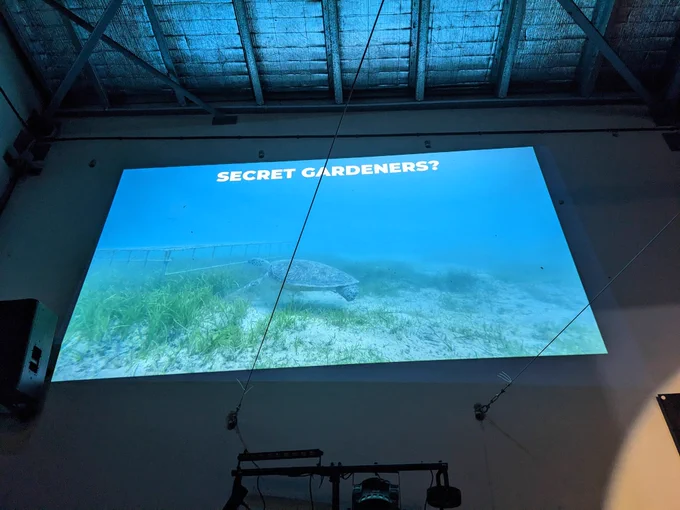 A PowerPoint presentation showing a grazing sea turtle 
