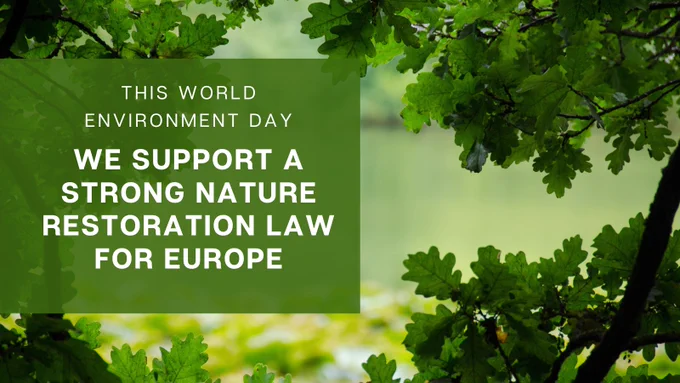 Green trees and foliage overlaid with white text: This World Environment Day: We support a strong Nature Restoration Law for Europe