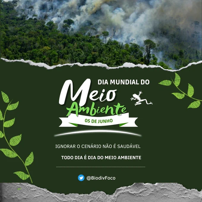 5 de junho, dia mundial do meio ambiente. Ignorar o cenário não é saudável. Todo dia é dia do meio ambiente!
