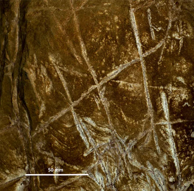 Engraved panel from the Dinaledi subsystem of the Rising Star cave system. Photo from Berger et al. 2023 https://doi.org/10.1101/2023.06.01.543133