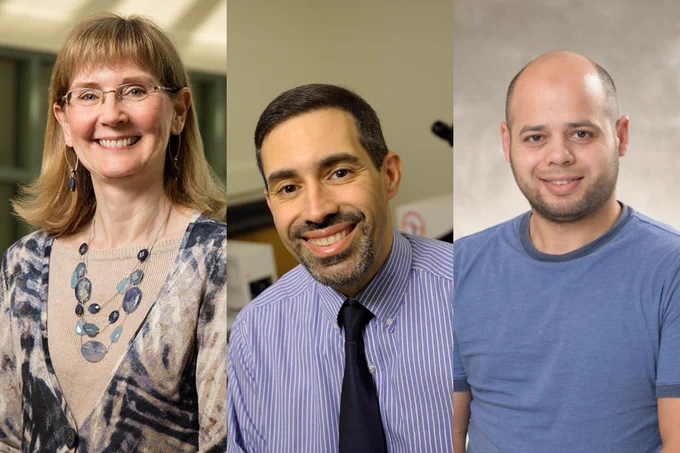 Side-by-side headshots of the researchers involved in this study: Susan Schantz, Dan Llano, and Baher Ibrahim.