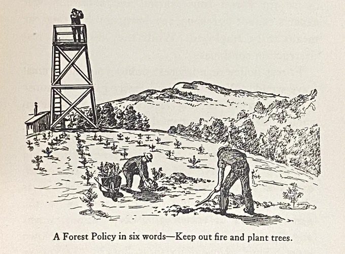 Image of black-and-white Illustration from 1923 book: two men planting trees, with a third on a lookout tower. Rolling hills in distance.