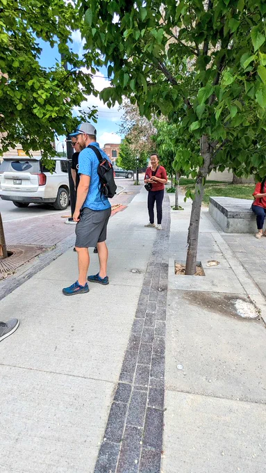 Easier access hoist-able pavers and covers.   Many trees lost to snow plows and vandalism. 
TWSI with contrasting brick pavers. (We use unigranite pavers in #BikeTO)