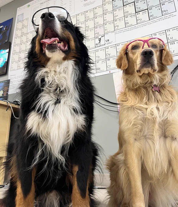Two science dogs.  Also vaccine don’t cause autism