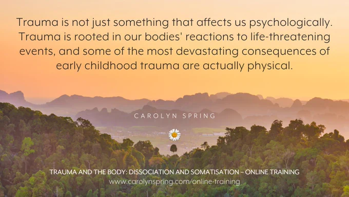 "Trauma is not just something that affects us psychologically. Trauma is rooted in our bodies' reactions to life-threatening events, and some of the most devastating consequences of early childhood trauma are actually physical."