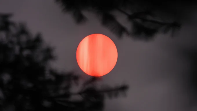 A bright orange sun in the sky. 