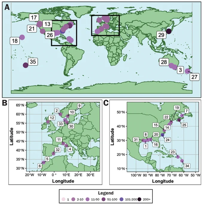 Geographic locations of studies from which data were extracted