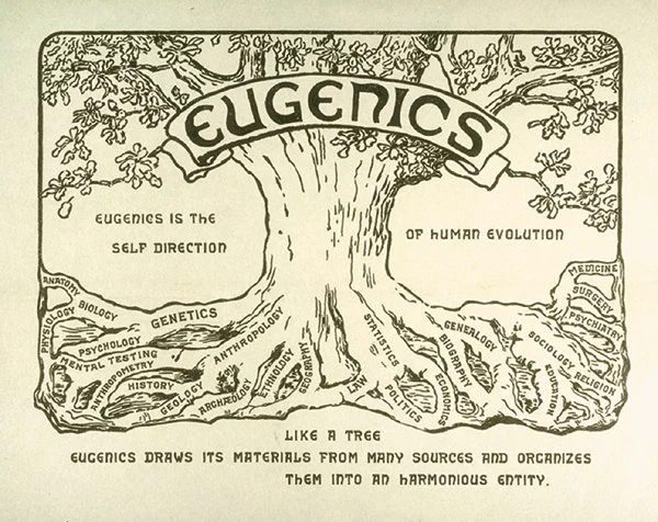Dessin à l'apparence ancienne d'un arbre aux multiples racines visibles arborant un bandeau sur lequel est noté "Eugenics". Chaque racine correspond à des disciplines ayant fortement contribué à l'eugénisme (génétique, statistiques, anthropologie, sociologie etc). On y voit également certains messages majeurs : "Eugenics us the self direction of human evolution" ; "Like a tree, eugenics draws its materials from many sources and organizes them into an harmonious entity".