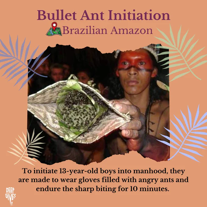 Bullet Ant Initiation
(location pin) Brazilian Amazon
To initiate 13 year old boys into manhood, they are made to wear gloves filled with angry ants and endure the sharp biting for 10 minutes. 