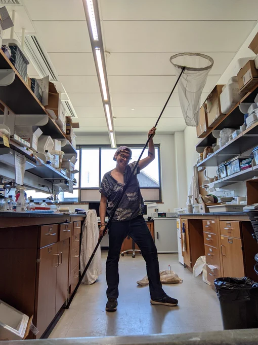 a person holding a VERY long bug collecting net, the handle is at least 10 feet long. The person is standing in a messy lab