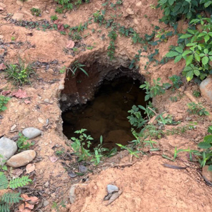Image of a large hole in the ground. The surrounding ground is bare brown earth/rock with some scattered stones. There are some plants growing beside and around the hole. It is darker in the hole but there are shapes of rocks/lumps of sediment.