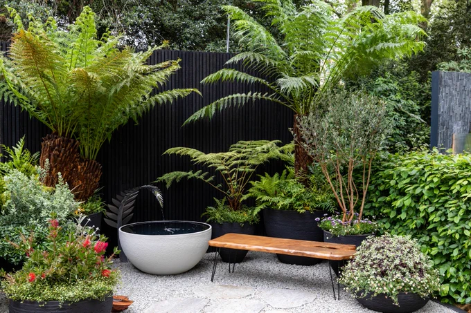 Circular water feature next to a bench surrounded by green plants.