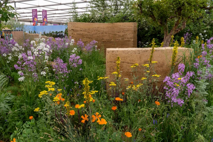 White, yellow, purple and green plants with rectangular structures within them.