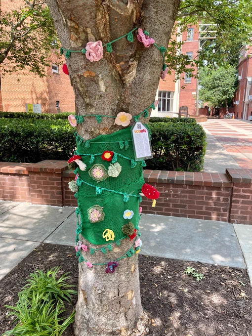 Green knitted art installation on a tree. Also features red knitted mushrooms and pink and blue flowers.