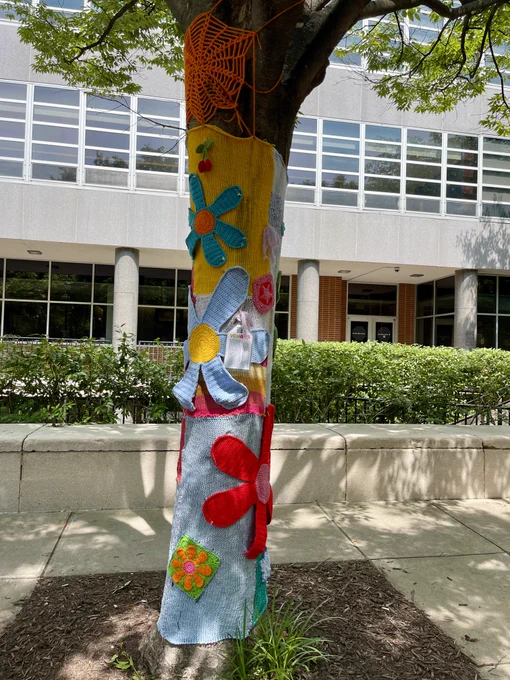  Blue, yellow, and red knitted art installation on tree trunk.