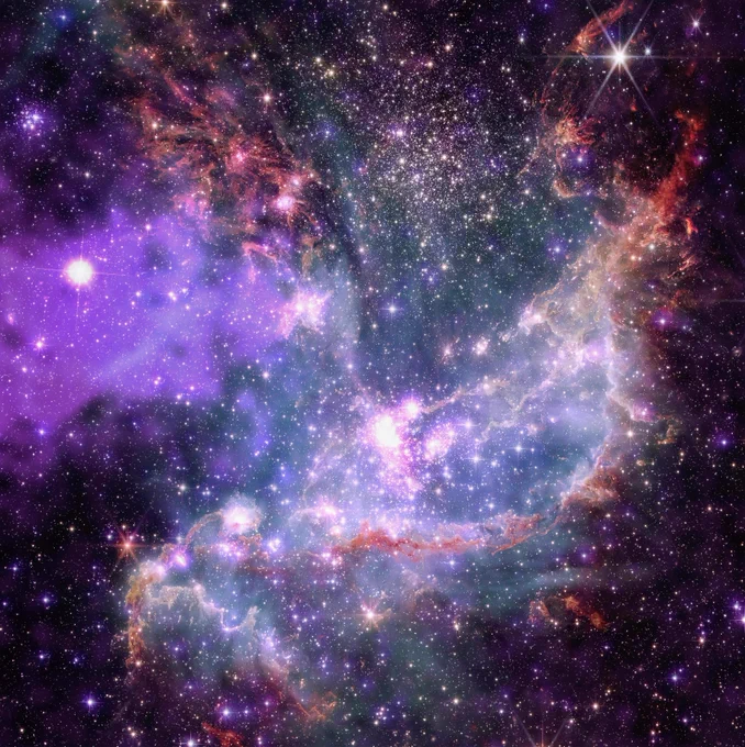 Image of the NGC 346 star cluster. Here, thousands of specks of light blanket the blackness of space. A ribbon of thick orange cloud runs along the bottom edge of the image, rounds our lower right corner, and streaks up the right side. A similar patch of roiling orange cloud can be found near our upper left. Between these gas plumes, centered near the top of the image, the star cluster is densely packed with specks of white, blue, and purple light. At our left, a large, bright white, gleaming dot is surrounded by purple mist. This is a hot, young, massive star, sending powerful winds outward from its surface. A patch of smaller dots, other young stars, can be found inside a faint purple mist near the center of the image.