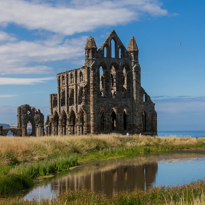 An image of the picturesque ruins of a large gothic abbey next to a field of tall-grass which contains a reflective pond.