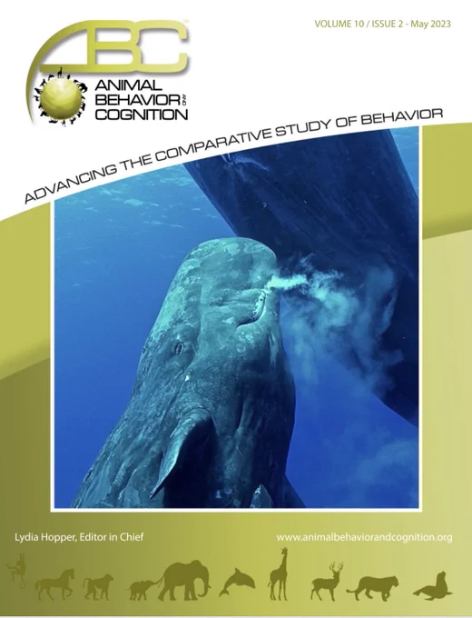 The cover page of the journal Animal Behavior and Cognition - the cover image is a photo of a young sperm whale nursing from her mother